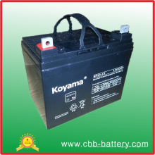 Bleisäure-AGM-Batterie 12V 33ah für elektrischen Rollstuhl